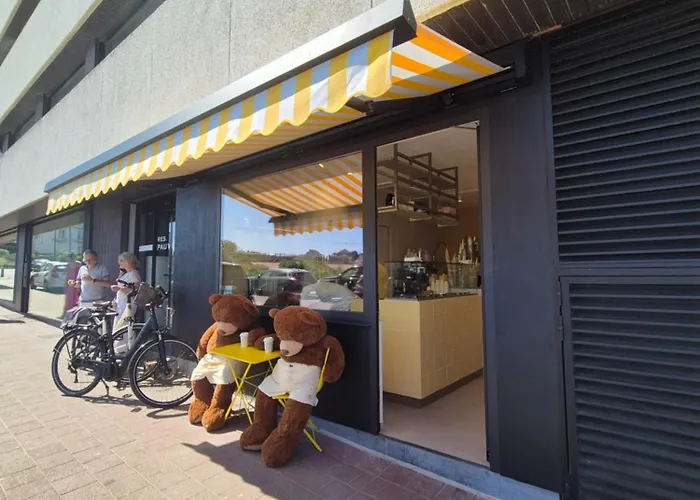 Zonnig Hoekappartement Met Zeezicht Duinbergen شقة كنوك هايست